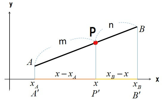 内分点の座標公式　証明